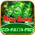 Bingo Patti VIP Casino App