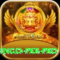 Bingo PKR Premium Casino App