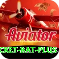 cricket bat Pro PK v4.0.7