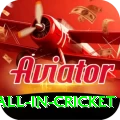 fastest ball in cricket Games Premium