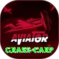 grass carp Pakistan Mega v3.9.7
