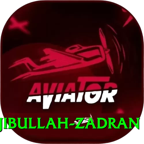 najibullah zadran Mobile Prime - 2