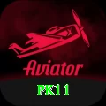 pk11 VIP v4.0.2