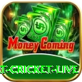 smart cricket live Live Casino King