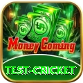 test cricket Earn Plus v2.1.7