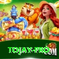 tojay Casino Official v4.5.8