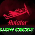 willow cricket Super APK v3.0.4