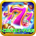 willow cricket Bonus Legend v3.5.7